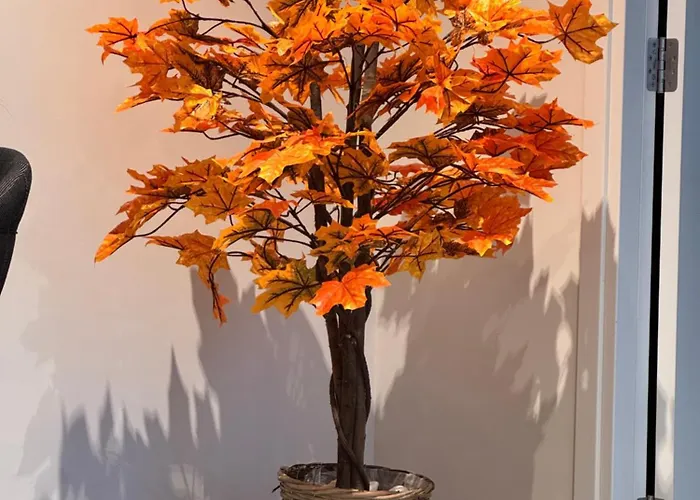 Sea View Mercury Tower, Rooftop Infinity Pool