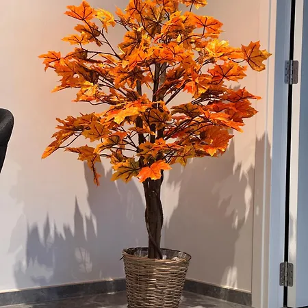 Sea View Mercury Tower, Rooftop Infinity Pool